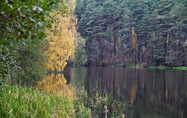 jezioro Pniewy