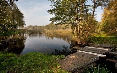 jezioro Duże k. Miał&oacute;w (2)