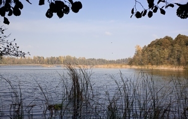 jezioro Duże k. Miał&oacute;w (1)