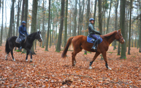Jesienny las, z przodu na rudym koniu jeździec, za nim na drugim czarnym koniu drugi jeździec, Zdjęcie wykonane z boku, widać boczne profile zwierząt