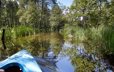 przednia część niebieskiego kajaka na rzece, w tle rzeka i rośliny po obu brzegach