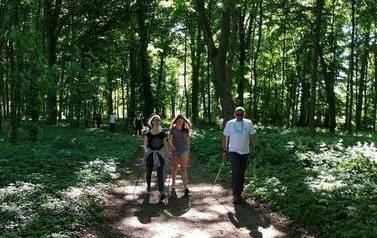 trzy osoby w letnich strojach z kijkami do nordic walking, w tle las