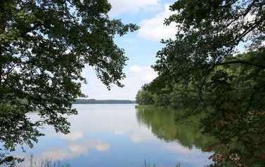 tafla jeziora, po obu stronach korony drzew, drzewa z prawej strony odbijają się w lustrze wody
