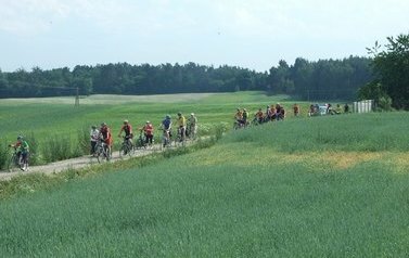 Grupa kilkudziesięciu rowerzyst&oacute;w w sportowych strojach jedzie ścieżką wśr&oacute;d zielonych p&oacute;l, świeci słońce. 