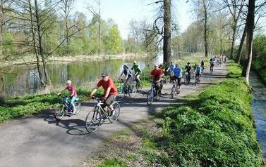 Grupa rowerzyst&oacute;w w r&oacute;żnym wieku jedzie wąską drogą, w tle drzewa i zielone pobocza