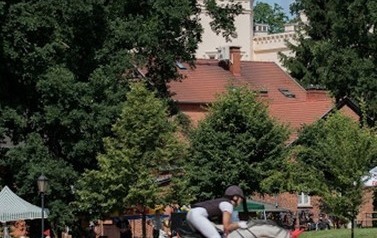 Jeździec na białym koniu skacze przez przeszkodę, w tle drzewa i fragment budynku.