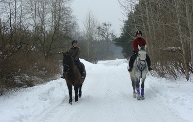 Dwch jeźdźc&oacute;w konno, zimą na śniegu, w leśnej scenerii. Jadą białą drogą, jeden koń jest biały, drugi - mniejszy ciemno - brązowy.