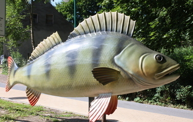 Model ryby w rozmiarze człowieka