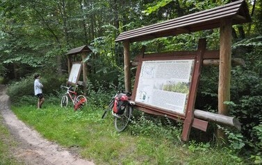 Tablica informacyjna przy kt&oacute;rej stoją rowerzyści, wok&oacute;ł las