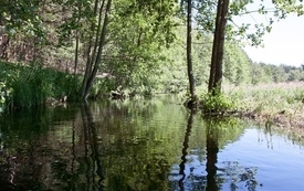 Miałka (2)