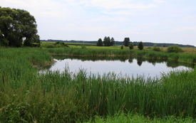 IMG_7686