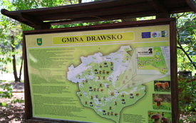Tablica informacyjna w parku Grzybowym.