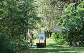 Park Grzybowy w Piłce, brama boczna.