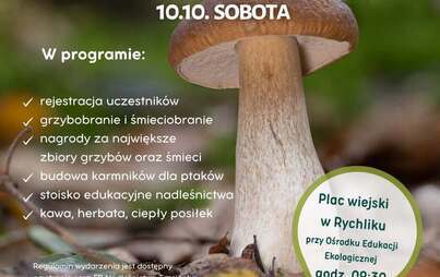 Zdjęcie do Grzybobranie i śmieciobranie